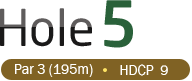 HOLE 5 / Par 3 (195m) / HDCP  9